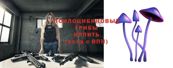 бошки Арсеньев