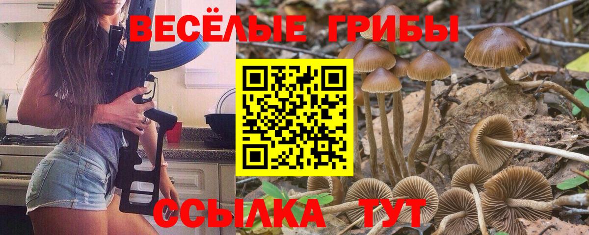Галлюциногенные грибы прущие грибы Курган