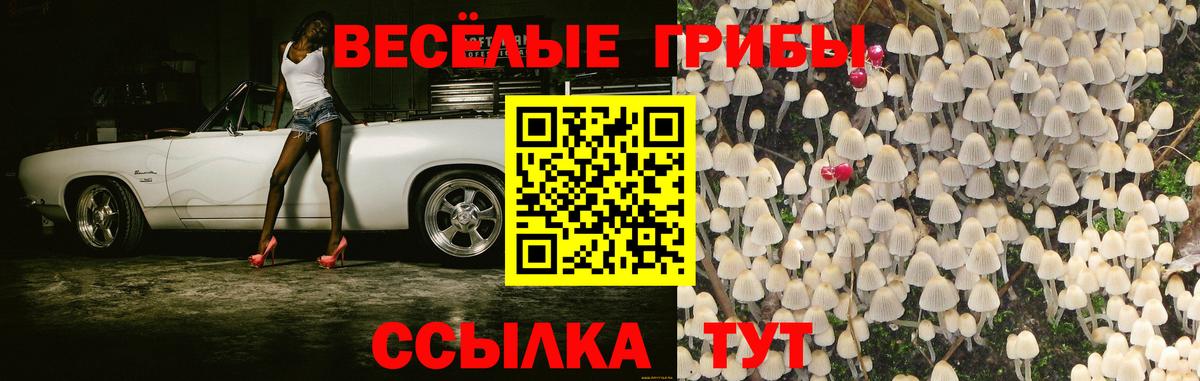 Курган  Галлюциногенные грибы прущие грибы  Вход с VPN 